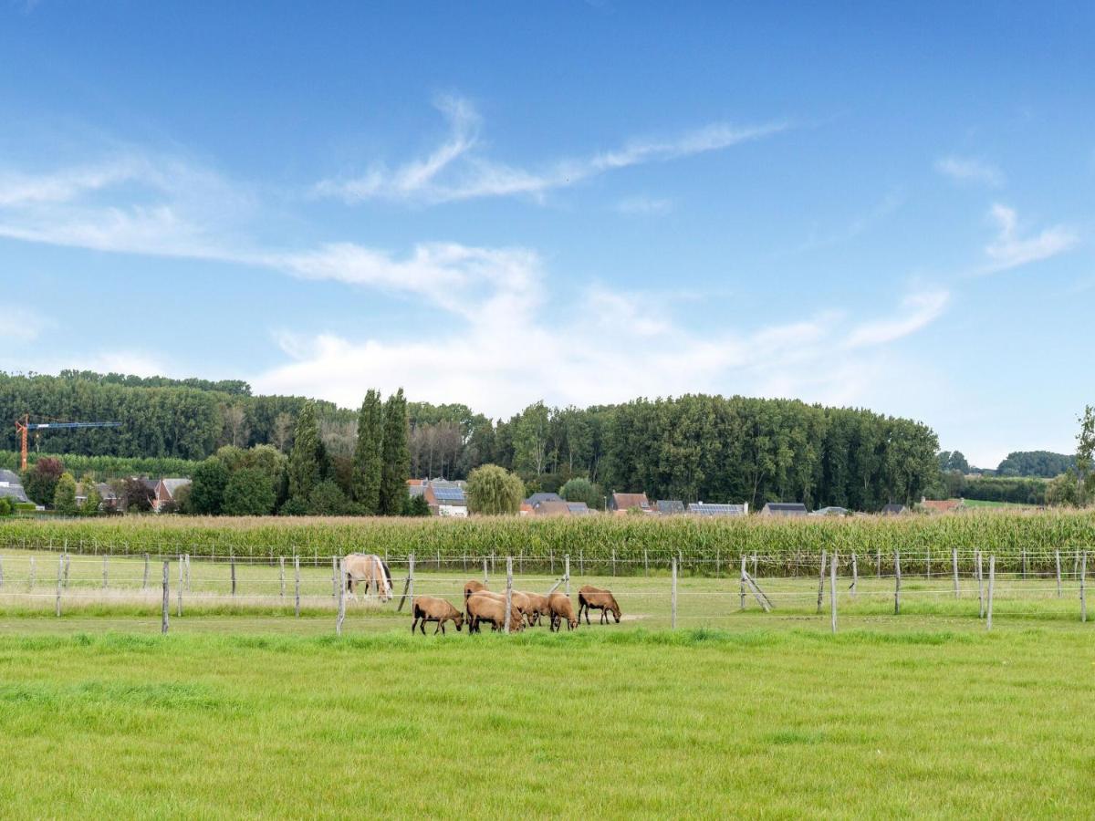 Stunning Holiday Home In Oombergen With Terrace And Garden Zottegem Eksteriør billede
